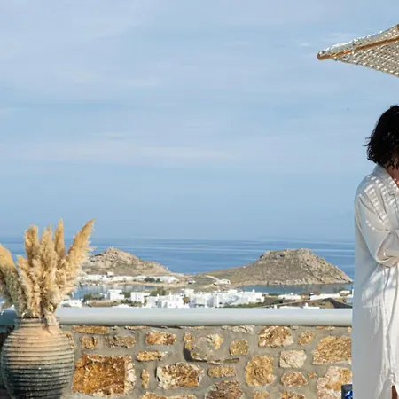 Anarina Villas Mykonos Elia Beach Villa