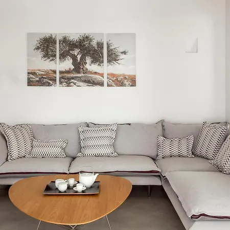 Anarina Mykonos Elia Villa
